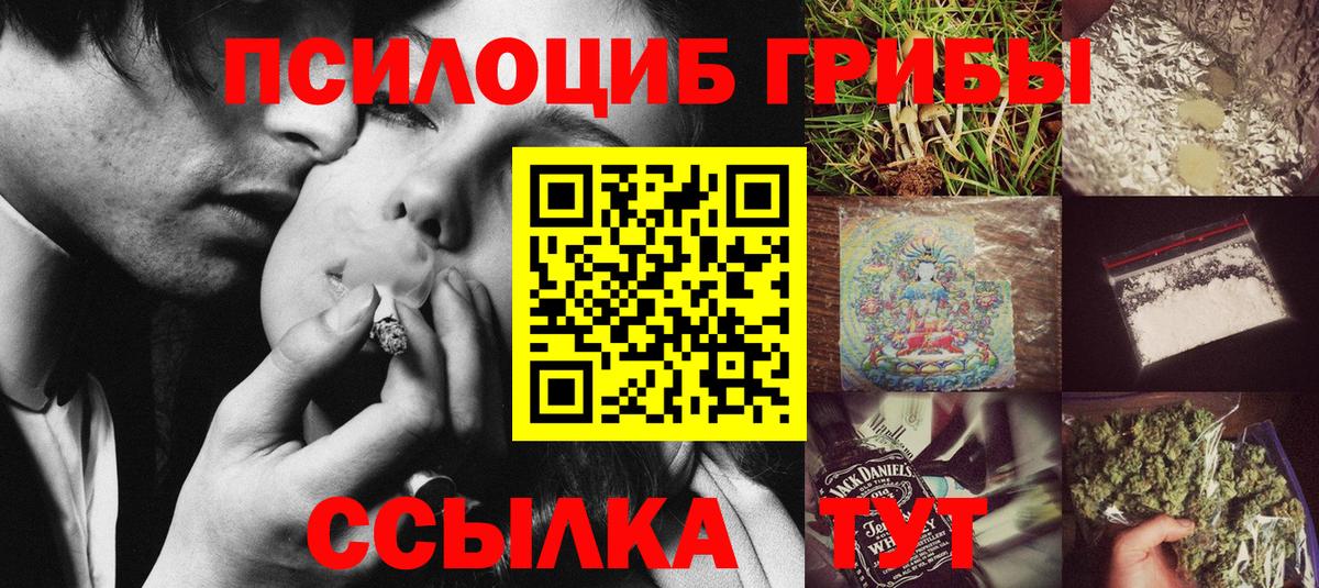 Кудрово  Псилоцибиновые грибы прущие грибы  Вход с VPN  Галлюциногенные грибы мицелий 