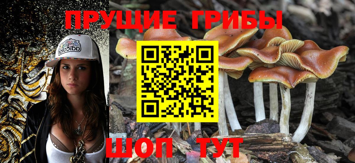 Галлюциногенные грибы ЛСД Кудрово